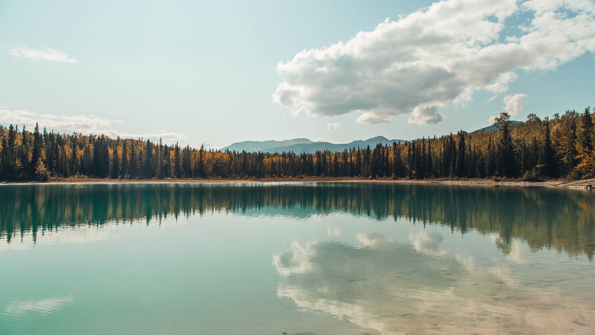 《英雄联盟线上线下联动，全球总决赛盛大开启》，lol线上线下是什么意思